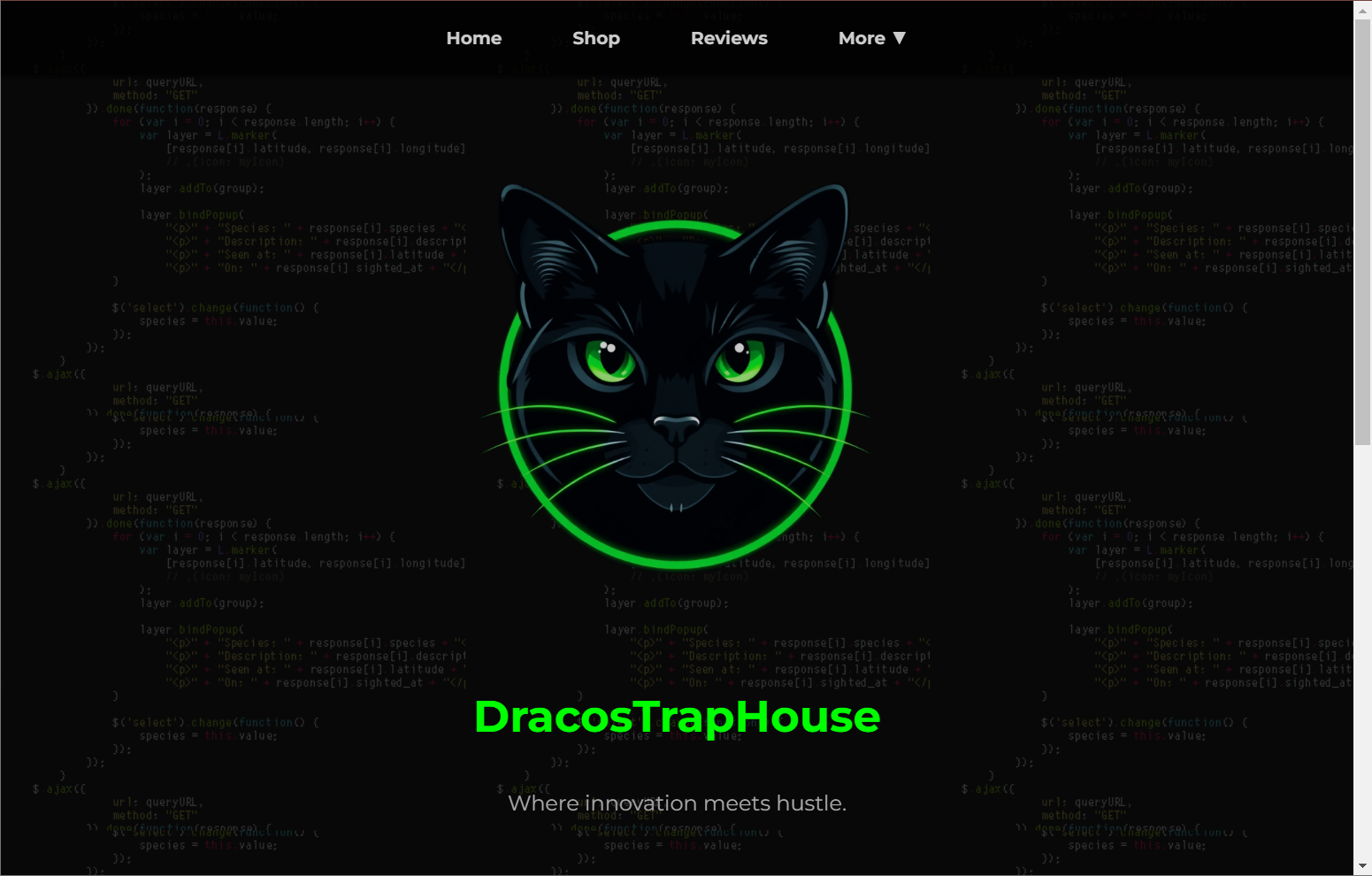 DracosTrapHouse